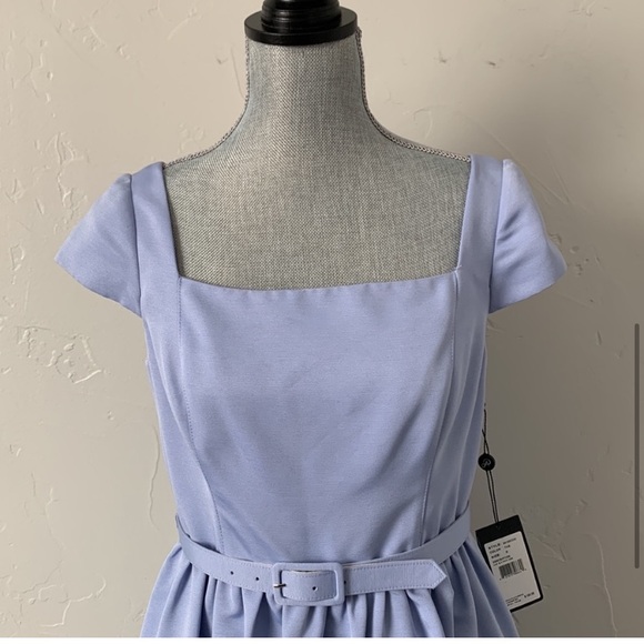 Adrianna Papell Cap Sleeve Belted Party Dress - Picture 5 of 11